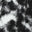 Black White Wash