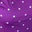 Magenta White Polka Dot