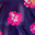 Navy Fuschia Floral