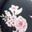 Black Pink Roses