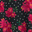 Black/White Micro Dot with Pink Floral