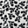 Ivory Black Floral