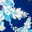 Navy Blue Floral