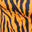 Brown Black Zebra