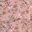 Tan Pink Floral