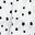 Dalmatian