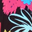 Black Multi Floral