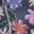 Black Blue Pink Floral