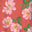 Coral Pink Floral