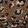 Copper Leopard