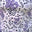 Pink Purple Ditsy Floral