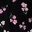 Black Floral