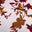 Rust Floral