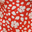 Salmon Floral