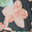 Black Coral Floral
