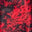 Red Dragon