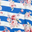 Blue White Stripe w/ Pink Floral