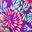 Purple Coral Jumbo Floral