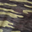 Green Camo