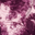Maroon Wash