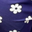 Blue/White Daisies