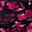 Black/Pink Watercolor Floral