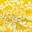 Yellow White Floral