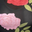 Black Red Large Floral