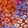 Multicolor Cheetah