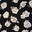 Black Grey Roses