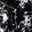 Black White Splatter