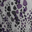Beige Purple Charcoal Spotted