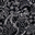 Black White Paisley