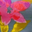 Stone Wall Floral