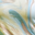 Bluish Oil Spill