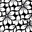 Black White Floral