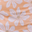Orange Pink Floral