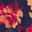 Navy Red Orange Floral