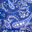 Blue Paisley