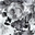 White Charcoal Floral