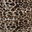 Tan Brown Black Cheetah