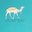 Hump Day