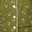 Olive White Ditsy Floral