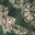 Green/Ivory Paisley