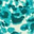 Teal Blur Cheetah