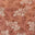 Petite Terracotta Floral